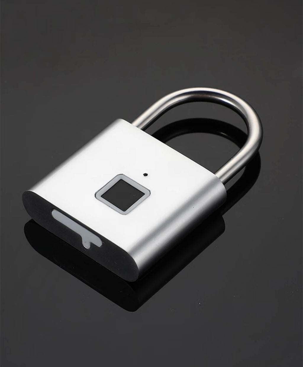 Fingerprint Padlock — Keyless Rain-Resistant Smart Lock