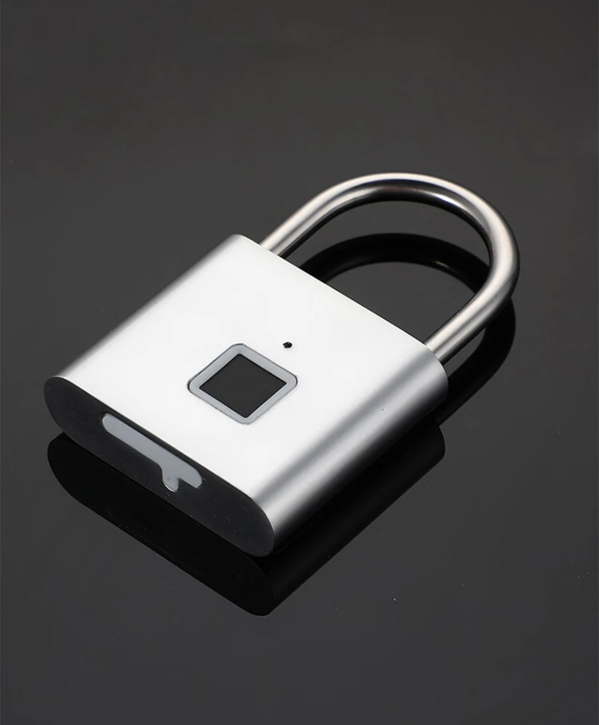 Fingerprint Padlock — Keyless Rain-Resistant Smart Lock